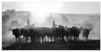 "Cattle Muster" Sand Free Towel
